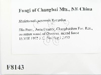 登錄號:F0008143藏品圖，第2張