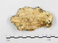 登錄號:F0008143藏品圖，第1張