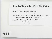 登錄號:F0008144藏品圖，第2張