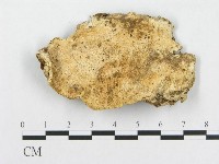 登錄號:F0008144藏品圖，第1張