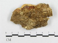 登錄號:F0008144藏品圖，第3張