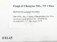 登錄號:F0008145藏品圖，第2張