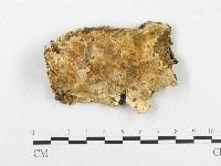 登錄號:F0008145藏品圖，第1張