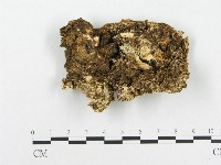 登錄號:F0008145藏品圖，第3張