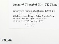 登錄號:F0008146藏品圖，第2張