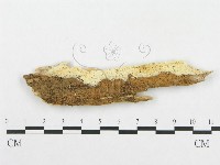 登錄號:F0008146藏品圖，第1張