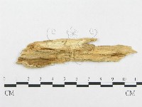 登錄號:F0008146藏品圖，第3張