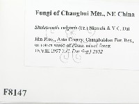 登錄號:F0008147藏品圖，第2張