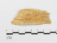 登錄號:F0008147藏品圖，第3張