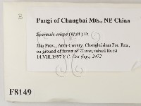 登錄號:F0008149藏品圖，第2張