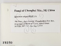 登錄號:F0008150藏品圖，第2張