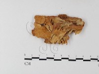 登錄號:F0008150藏品圖，第3張