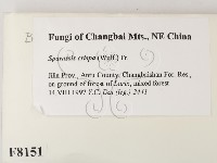 登錄號:F0008151藏品圖，第2張