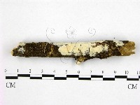 登錄號:F0008152藏品圖，第1張