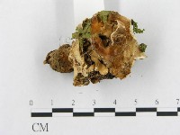 登錄號:F0008152藏品圖，第3張