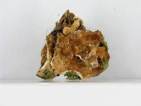 登錄號:F0008152藏品圖，第5張