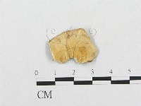 登錄號:F0008153藏品圖，第1張