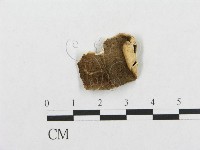 登錄號:F0008153藏品圖，第3張