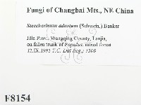 登錄號:F0008154藏品圖，第2張