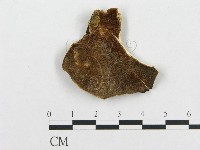 登錄號:F0008154藏品圖，第3張