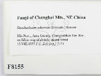 登錄號:F0008155藏品圖，第2張