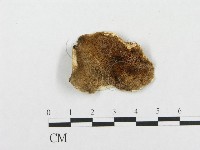 登錄號:F0008155藏品圖，第1張