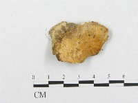 登錄號:F0008155藏品圖，第3張