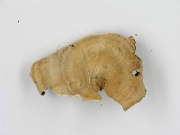 登錄號:F0008156藏品圖，第3張