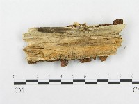 登錄號:F0008157藏品圖，第3張