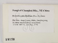 登錄號:F0008158藏品圖，第2張