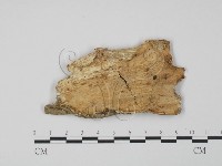 登錄號:F0008158藏品圖，第1張