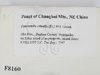 登錄號:F0008160藏品圖，第2張