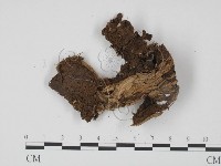 登錄號:F0008160藏品圖，第1張