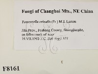 登錄號:F0008161藏品圖，第2張