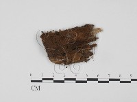 登錄號:F0008161藏品圖，第1張