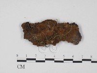 登錄號:F0008162藏品圖，第1張