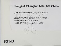 登錄號:F0008163藏品圖，第2張