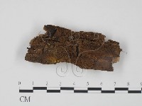 登錄號:F0008163藏品圖，第1張