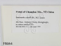 登錄號:F0008164藏品圖，第2張