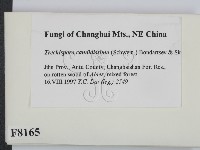 登錄號:F0008165藏品圖，第2張