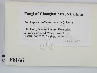 登錄號:F0008166藏品圖，第2張