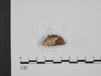 登錄號:F0008166藏品圖，第1張