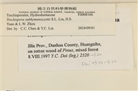 登錄號:F0008166藏品圖，第3張
