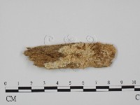 登錄號:F0008167藏品圖，第1張