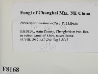 登錄號:F0008168藏品圖，第2張