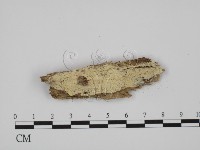 登錄號:F0008168藏品圖，第1張
