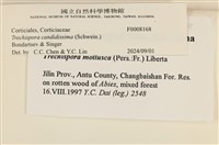 登錄號:F0008168藏品圖，第3張