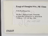 登錄號:F0008169藏品圖，第2張