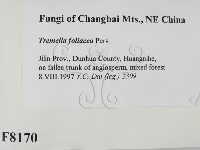 登錄號:F0008170藏品圖，第2張