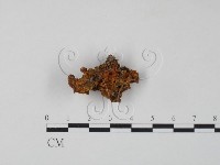 登錄號:F0008170藏品圖，第3張